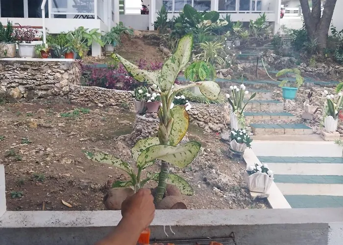 Tulang Diot View Resort&turtle Haven